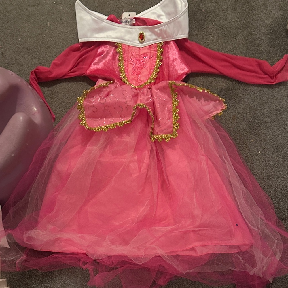 Charming Pink and Gold Kids Costume